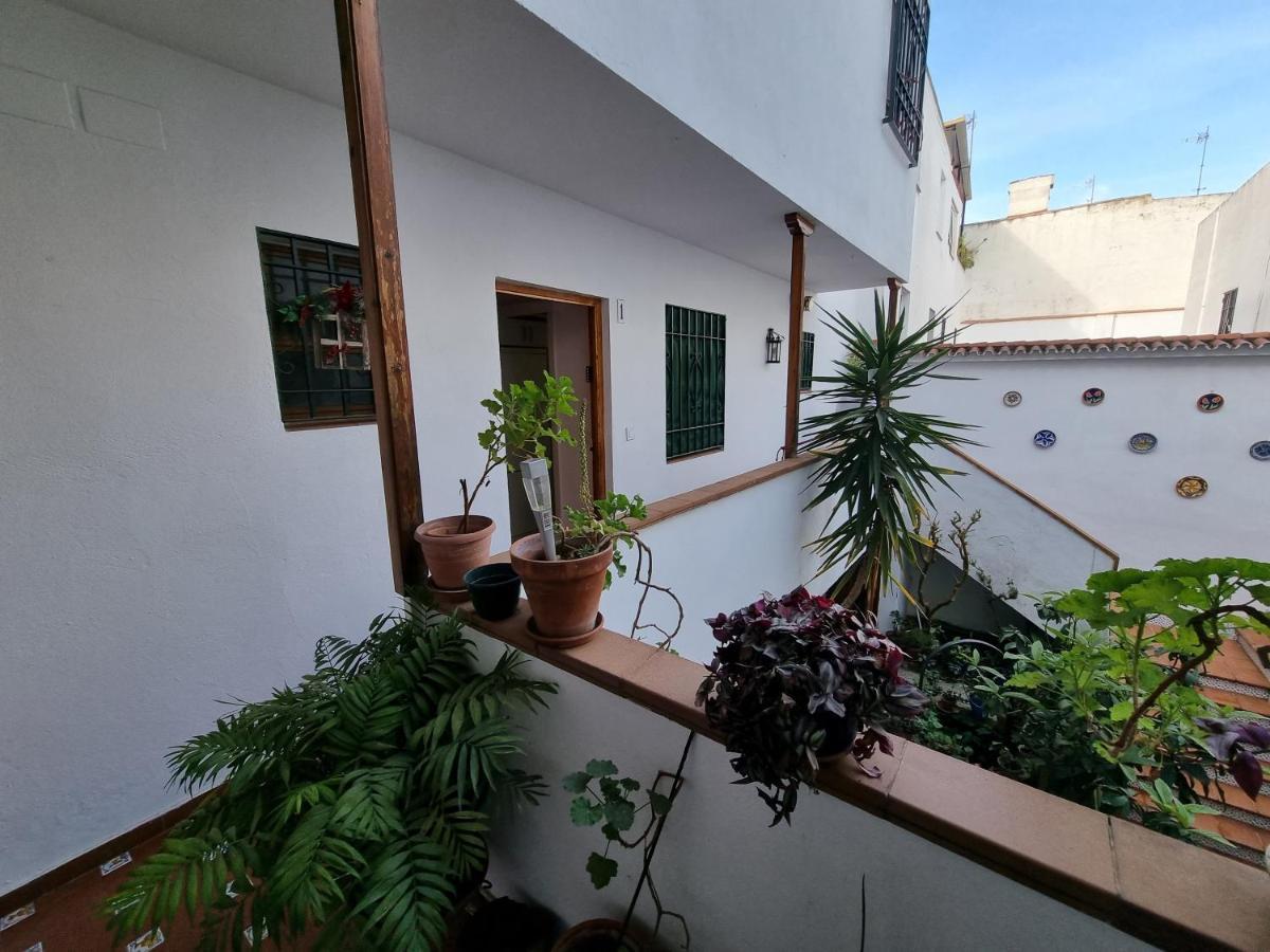 Apartament Apartamento Entre Patios San Basilio Kordoba Zewnętrze zdjęcie
